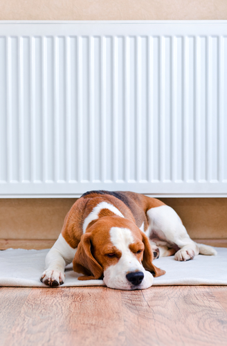 Understanding-Natural-Gas-Heating-Systems-for-Homes-Valley-Comfort-Heating-and-Air-CA