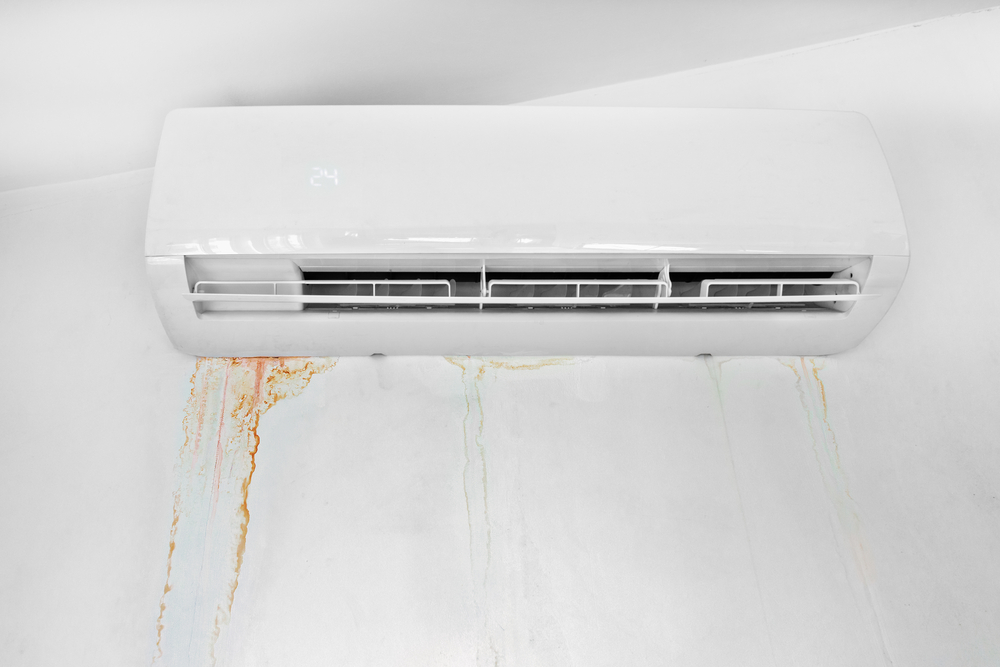 What to Do If You Found Mold in Your Air Conditioner