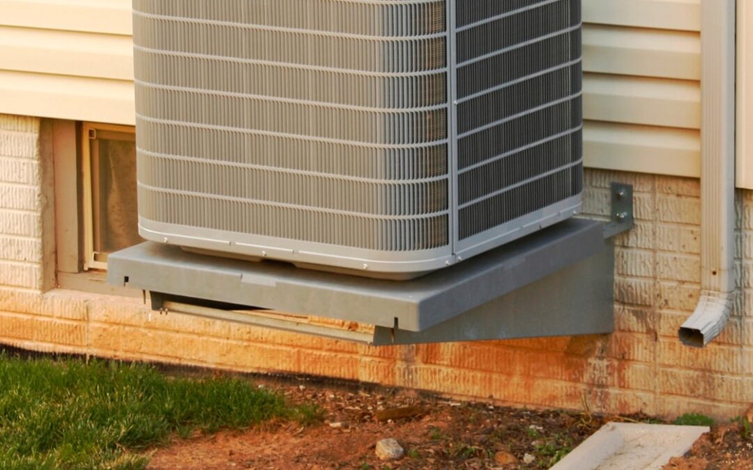 The AC Coil & Outdoor Unit Deep Clean: Beat Vegetation & Year-Round Efficiency