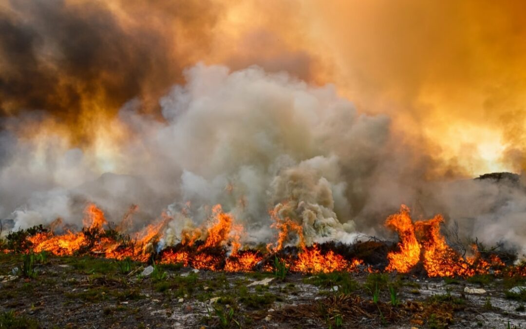 Wildfire Smoke & Your HVAC: Deep Dive into Filter Systems That Work