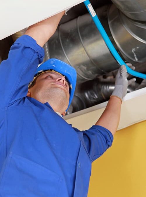 How to Get Rid of Dust Mites in Santa Rosa